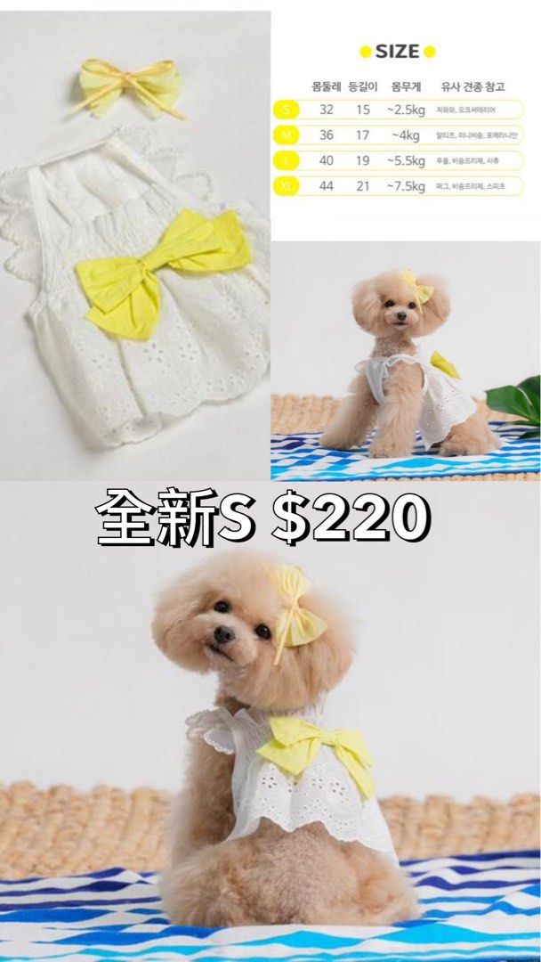 由 fanlili (刊登 ID 1372526735，圖片 1) 提交，位於 台南市 (Tainan) 的 全新 韓國odd寵物洋裝 (類別：寵物及其他)，說明：全新商品 韓國代購 衣服太多出清一些 需要看更多細節可私訊。