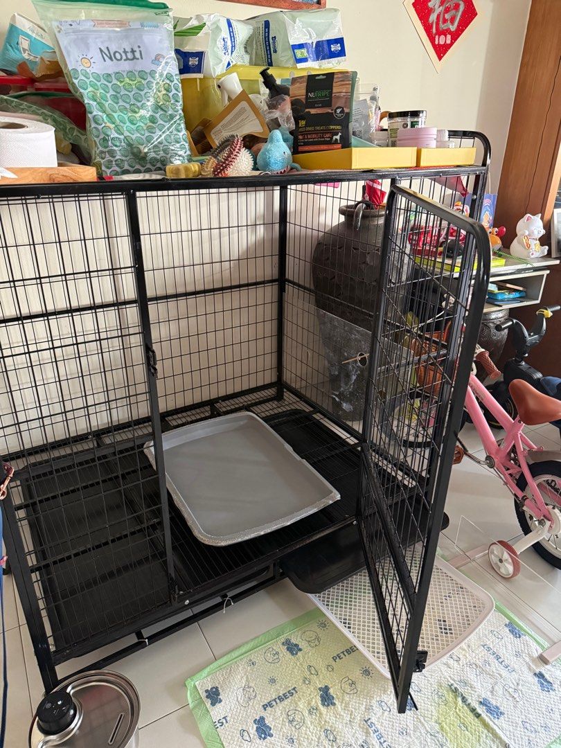 Dog cage (Category: Homes & Other Pet Accessories) located in Singapore. Submitted by vtec_machine (Listing ID 1372537654, Image 3). Description: Dog cage with wheel for sale. Initially wanted to use it to cage my dog but decided to let him roam around in the house. Only use it for about 2 weeks and left aside collecting dust. Size: 125cm x 95cm x 125cm (Refer to last pic) Cash & carry and arrange your own transportation. .