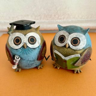 (Category: ) located in . Submitted by lavender_jj (Listing ID 1372502407, Image 1). Description: .