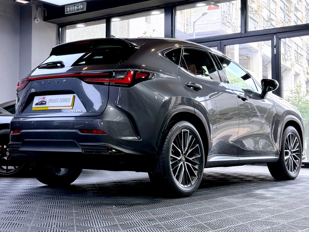 Lexus NX250 ULTIMATE Auto62863128464643111