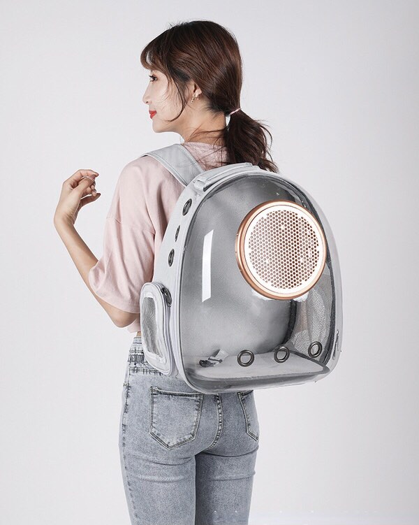 Beautiful view of Smart Capsule Backpack With Blue Light Filter