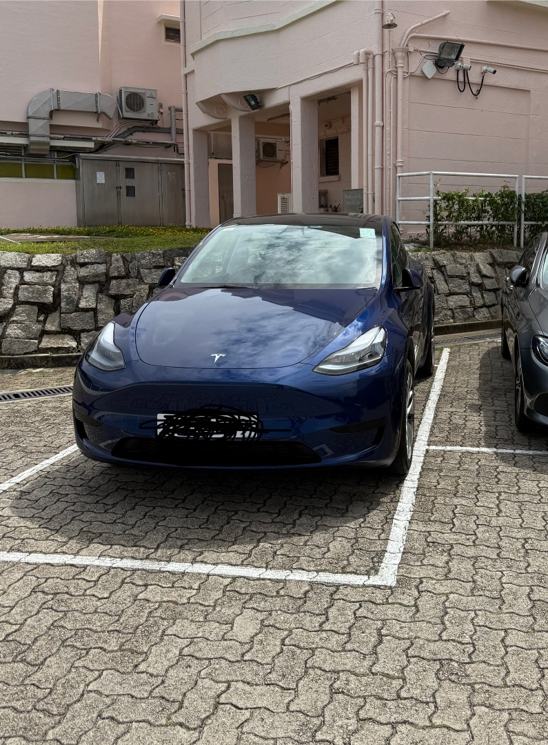 Tesla Model X 100D (A)628631277788181125