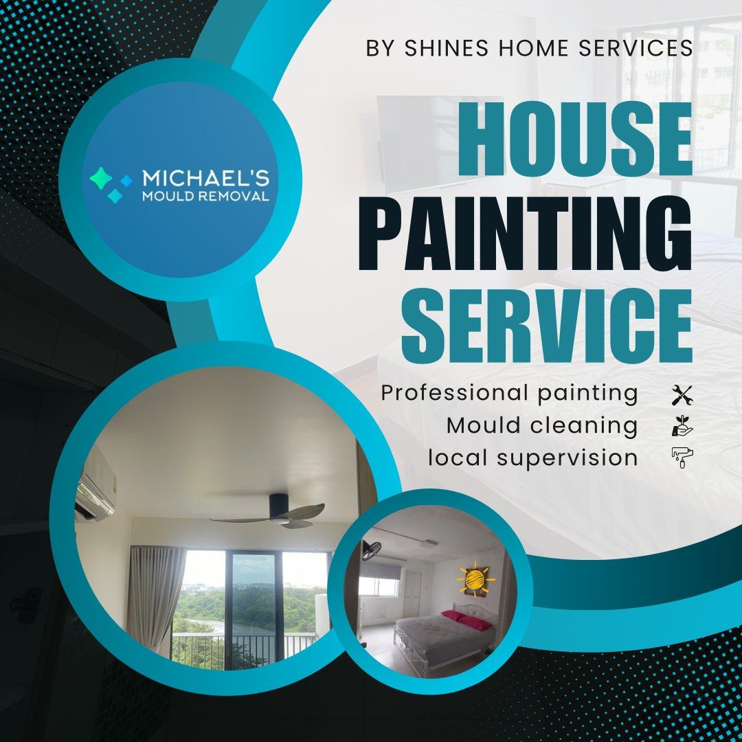 👷🏻‍♂️1 Day*👷🏿 Dedicated House Painting Service 🏘️ Nippon EasyWash Supreme628630779956511122