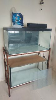 (Category: ) located in . Submitted by swordtail (Listing ID 1375975975, Image 1). Description: .