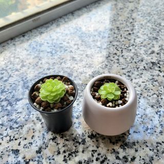 （分類：）位於 。 由 adalau2233 提交（商品編號 1375967807，圖片 1）。簡介： 。