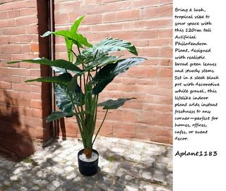 (Category: ) located in . Submitted by alyeow_flowery (Listing ID 1375852217, Image 1). Description: .