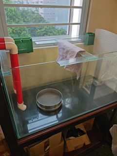 (Category: ) located in . Submitted by vvlee681 (Listing ID 1375864968, Image 1). Description: .