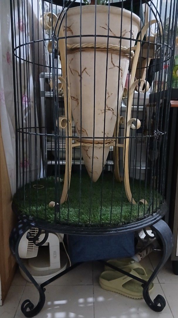 Decorative cage65075493568771112