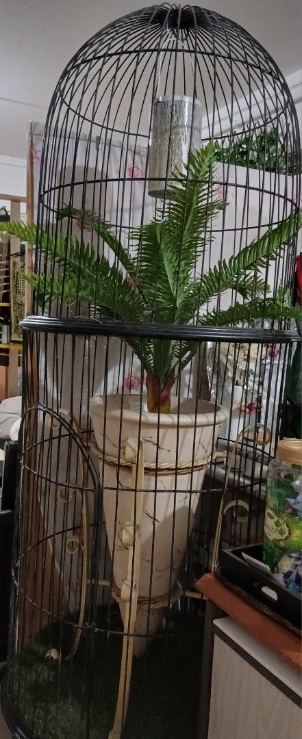Decorative cage65075493568771111