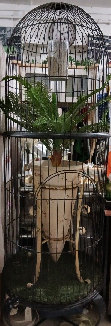 Decorative cage65075493568771113