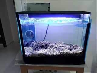(Category: ) located in . Submitted by ryxt1974 (Listing ID 1375946447, Image 1). Description: .
