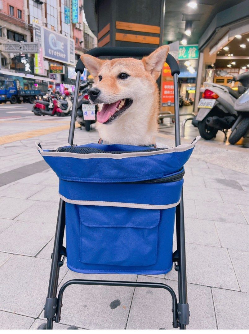 由 lenny1014 (刊登 ID 1375996224，圖片 1) 提交，位於 新北市 (New Taipei) 的 ibiyaya (類別：寵物及其他)，說明：推車架正常 布套有縫過不影響使用，可以自行買新的布套，建議放比較輕的貓 三重台北橋站面交。