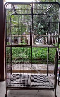 (Category: ) located in . Submitted by aliaazmns (Listing ID 1375918247, Image 1). Description: .