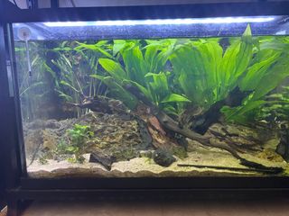(Category: ) located in . Submitted by thewatersedge2023 (Listing ID 1376097536, Image 1). Description: .