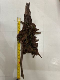（分類：）位於 。 由 alexxtmm 提交（商品編號 1376126114，圖片 1）。簡介： 。