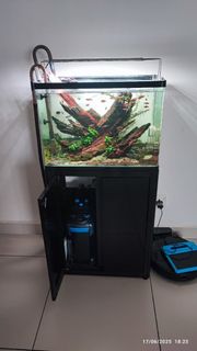 (Category: ) located in . Submitted by Andy_0123 (Listing ID 1376189360, Image 1). Description: .