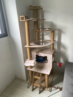 (Category: ) located in . Submitted by jtst__ (Listing ID 1376088219, Image 1). Description: .
