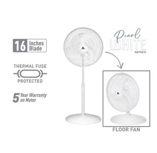 (Category: ) located in . Submitted by iday_clearance (Listing ID 1376183491, Image 1). Description: .