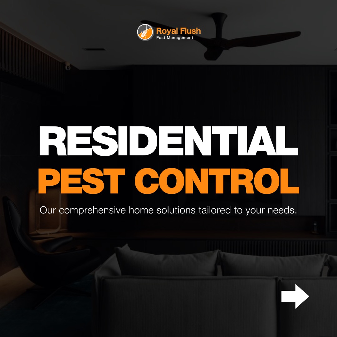 (Category: ) located in . Submitted by royalflushpestmanagement (Listing ID 1363590472, Image 1). Description: .