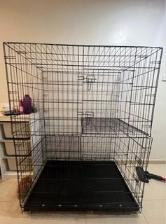 (Category: ) located in . Submitted by reisaichibi (Listing ID 1376090504, Image 1). Description: .