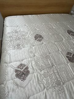 （分類：）位於 。 由 its.momo 提交（商品編號 1376156882，圖片 1）。簡介： 。