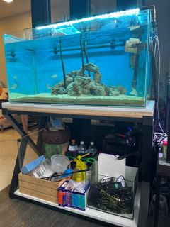 (Category: ) located in . Submitted by 076979 (Listing ID 1376331334, Image 1). Description: .