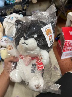 由 as152152 (刊登 ID 1376327205，圖片 1) 提交，位於 的 (類別：)，說明：。