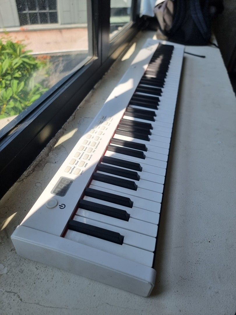 BX-II 88-Key Portable MIDI Keyboard628630593907211110