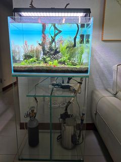 (Category: ) located in . Submitted by aquaticstore (Listing ID 1376394950, Image 1). Description: .