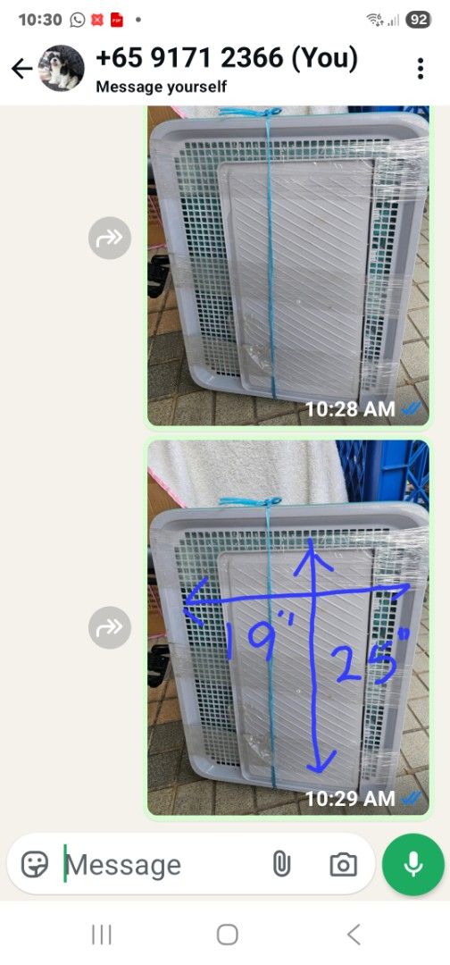 Dog pee tray (Category: Health & Grooming) located in Singapore. Submitted by diana.er998 (Listing ID 1376233688, Image 1). Description: dog pee tray. barely used.