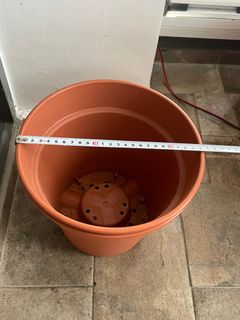 (Category: ) located in . Submitted by skylett255 (Listing ID 1376321816, Image 1). Description: .
