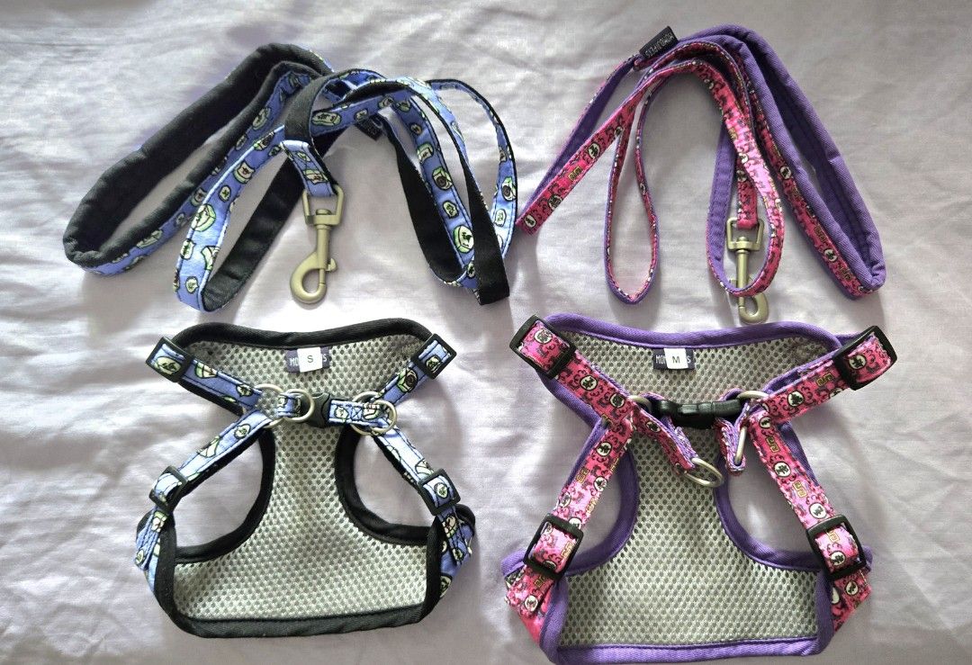 Momoji Dog Harness & Leash (Category: Homes & Other Pet Accessories) located in Singapore. Submitted by cheekons (Listing ID 1376347591, Image 2). Description: - Left with Long Live The Fur in size M. - Blue (sold).