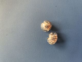 (Category: ) located in . Submitted by tmm1976 (Listing ID 1376292310, Image 1). Description: .