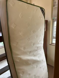 （分類：）位於 。 由 tasplauthentic 提交（商品編號 1376277400，圖片 1）。簡介： 。