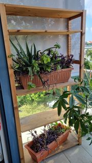 (Category: ) located in . Submitted by kdoma6_sgp (Listing ID 1376225638, Image 1). Description: .