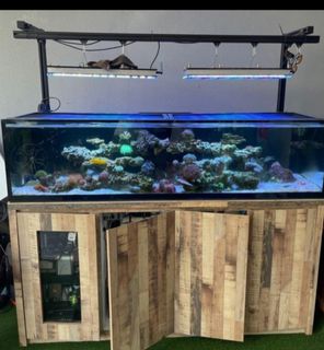 (Category: ) located in . Submitted by ken22591 (Listing ID 1376191655, Image 1). Description: .