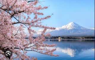 日本代訂餐廳，預約餐廳，任何日文電話支緩64076971905537110