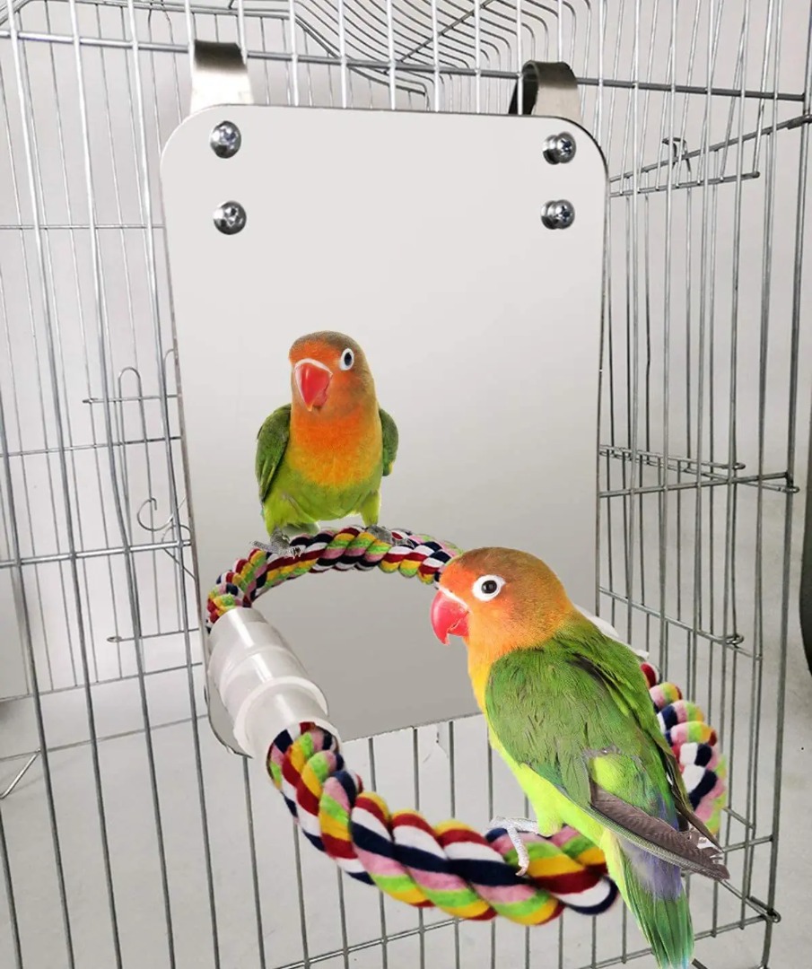 Photo inspiration: Visual Reference: Bird Mirror With Perch Cage Swing Toy Macaws Finches Small