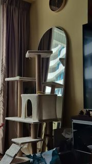 (Category: ) located in . Submitted by misscy (Listing ID 1376472072, Image 1). Description: .