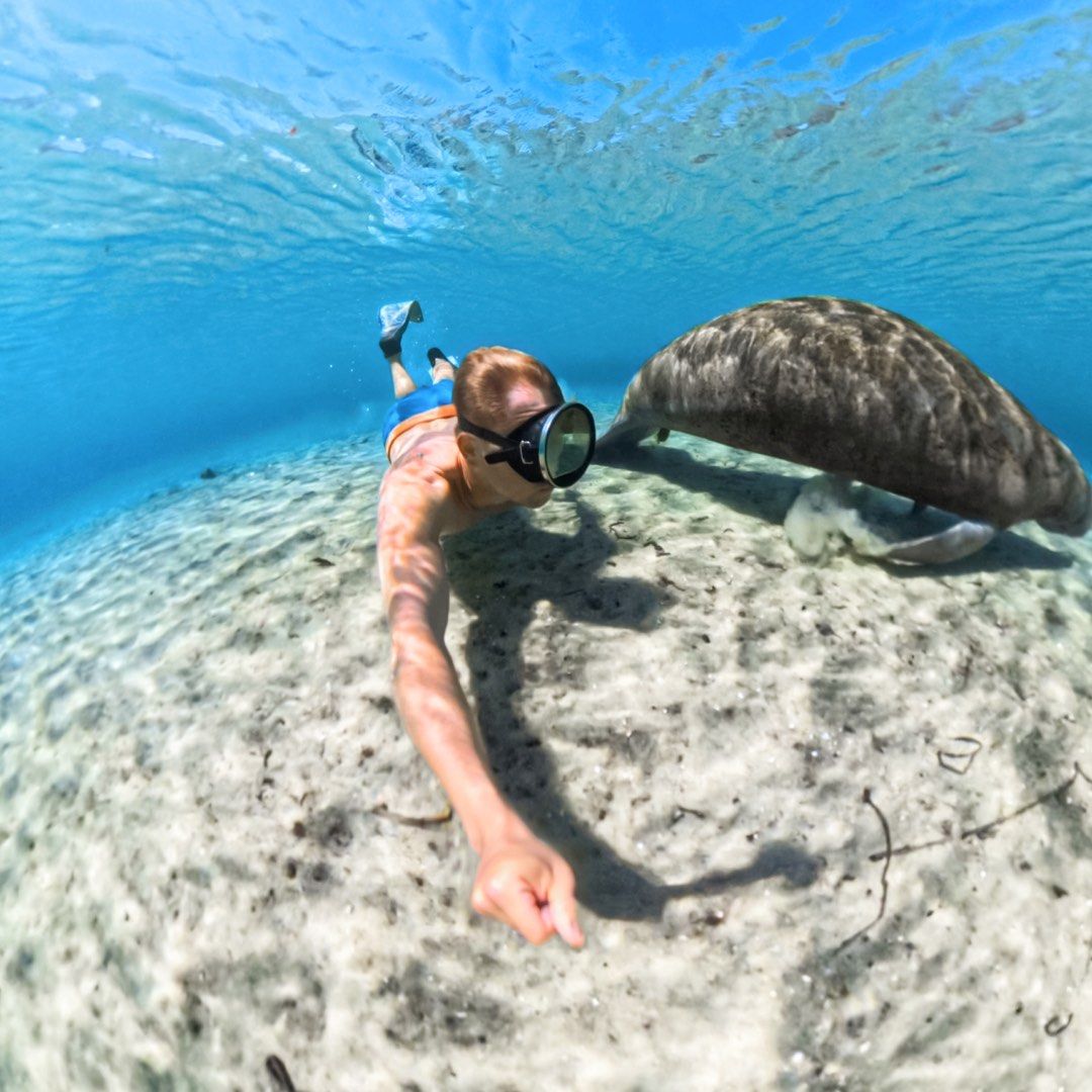 Insta360 X5 Invisible Dive Case (Category: Camera Bags & Carriers) located in San Juan City. Submitted by urbangiz_greenhillsmall (Listing ID 1376493878, Image 3). Description: Completely invisible when shooting 360° video. Seamless underwater stitching. Waterproof down to 60m (197ft). Capture crystal-clear 360° video with zero distortion. Use with the Invisible Selfie Stick for epic third-person views. The new quick-dry Storage Bag is usable bot