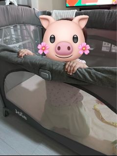 （分類：）位於 。 由 cholekung227596 提交（商品編號 1376495667，圖片 1）。簡介： 。