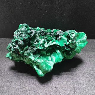 (Category: ) located in . Submitted by gl.plants (Listing ID 1376425764, Image 1). Description: .