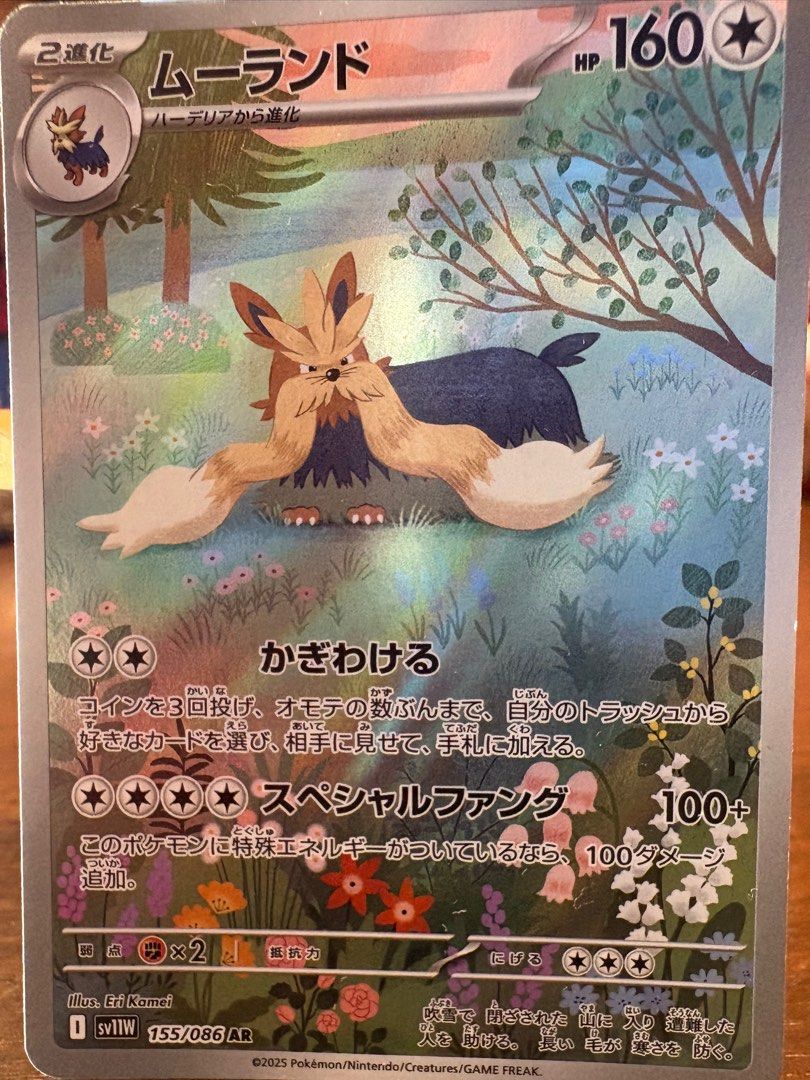 stoutland pokemon card, Hobbies & Toys, Toys & Games on Carousell stoutland pokemon card, Hobbies & Toys, Toys & Games on Carousell