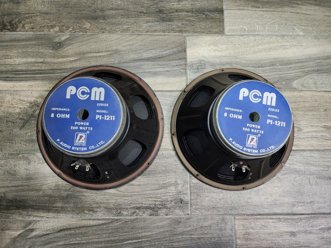 12" Speaker