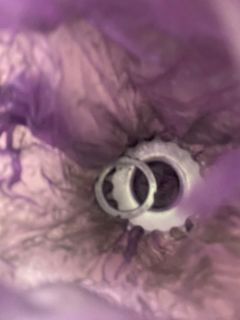 (Category: ) located in . Submitted by flyinglj (Listing ID 1376756671, Image 1). Description: .