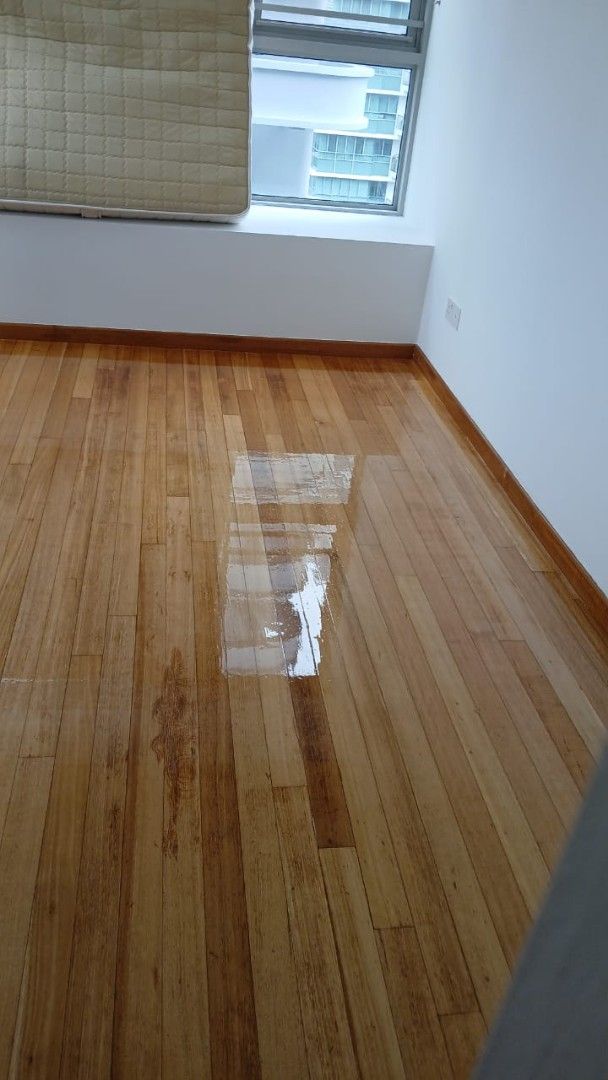 35% discount polishing service /bedroom floor polishing /wooden floor polishing /parquet floor polishing /vinyl floor polishing /3 bedroom floor/machine grinding /door varnish /doorframe varnish62863115453315112