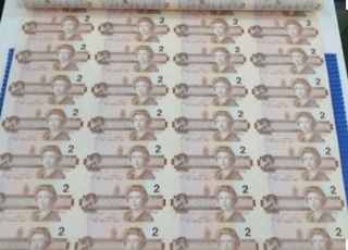 Nice, Binary, Double, Triple, Repeater, Radar, 3 digits & 4 Digits Collection  Collection item 3
