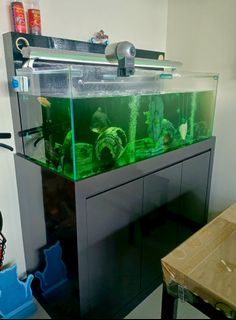 (Category: ) located in . Submitted by azlemague (Listing ID 1376690081, Image 1). Description: .