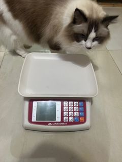 電子磅