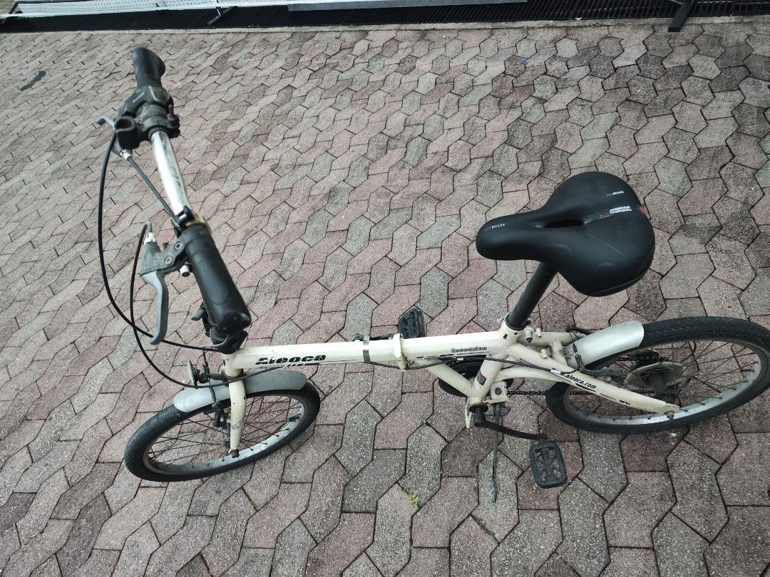 Aleoca 20 inch Bicycle, Sports Equipment, Bicycles Parts